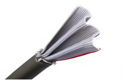 China 30mm Flat Ribbon Speaker Cable Customized Request and General Wiring Harness Included supplier