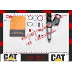 Cat Engine Parts 10r-3262 C11 C13 Fuel Injector 2490713 249-0713 For Caterpillar C13 for sale