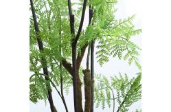 China Middle Size Plastic Plant Artificial Fern Tree For Dining Room supplier