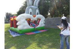 China Rabbit Inflatable Bouncer Castle With Slide 6x3.5x2.5m supplier