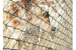 China PVC Coated Hot Dipped Galvanized Chain Link Fence 1mx30m Roll supplier