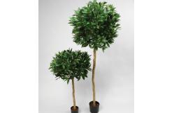China Height 160cm Artificial Potted Floor Plants Plastic Laurel Tree supplier