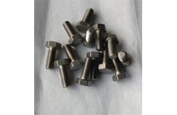 China Fully Threaded Allied Titanium Hex Head Bolt Gr2 ASTM B338 M6 supplier