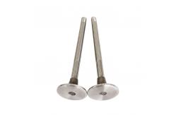 China Genuine Construction NTA855 Diesel Engine Parts 135957 Intake Valve For Cummins supplier