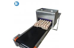 China High Precision Thermal Inkjet Printer , Batch Code Printing Machine For Egg supplier