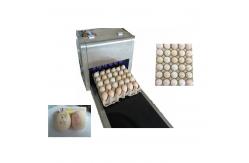 China Automatic Egg Code Printing Machine , Small Character Inkjet Coder For Eggs supplier
