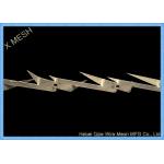 Galvanized Metal Wire Mesh Anti - Creeped Wall Spike 2mm Thickness