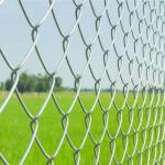 Height 2.5m Q195 Metal Galvanized Chain Link Fence Selvage Knuckled Edge for sale