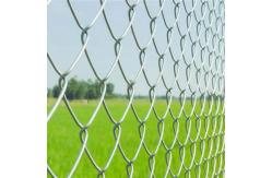 China Height 2.5m Q195 Metal Galvanized Chain Link Fence Selvage Knuckled Edge supplier