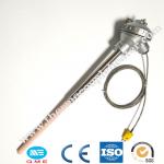 Pt10rh Pt Type Thermocouple Rtd 1600 Degree 12 - 480v Thread Connection for sale