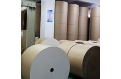 China Single or Double Side PLA Coated Paper Roll Compostable Biodegradable Material supplier
