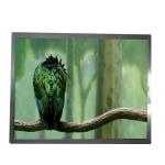 AA104XF12 10.4 inch 1024*768 lcd display screen panel for sale