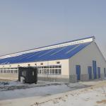 Dairy Agricultural Steel Framed Building Easy Install Prefabricated Light Steel Structure for sale