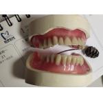 Immediate Denture ISO13485 Acrylic Partial Denture for sale