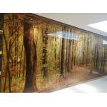 China Screen Partition Ultra Clear 12mm Decorative Fused Glass manufacturer