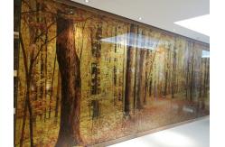 China Screen Partition Ultra Clear 12mm Decorative Fused Glass supplier