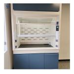 Safety Laboratory Fume Cupboard , Heat Resistant Lab Fume Hood for sale