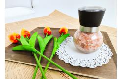 China Durable Design Refillable Salt And Pepper Grinders Glass Pepper Salt Breaking Machine supplier