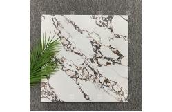 China 600x600mm White Matt Marble Glazed Ceramic Tiles Washroom Rustic Floor Wall Tiles supplier