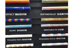 China Colthing Printing Heat Transfer Film 10-20 Seconds Transfer Time SGS Approval supplier