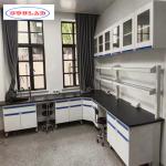 Number of Hooks Chemistry Lab Workbench with Number of Compartments As Drawing Design for sale