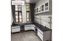 China Customizable and Integrated Lab Wall Benches for Efficient Laboratories supplier