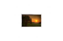 China 1.8 inch 280×220 LCD A018AN01 TFT LCD Panel Screen Display supplier