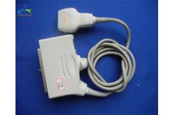 China PLT-604AT Ultrasound Transducer Probe Linear Array Image Digital Medical Equipment supplier