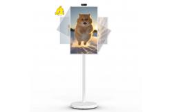 China 21 Android 12 System Stand By Me TV Smart Broadcast Machine Touch Screen supplier