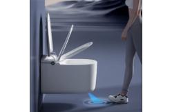 China Fashion Design Modern Smart Wall Hung Toilet With Electrolyzed Water Function supplier