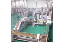 China Juice Processing Machine Juice Manufacturing Plant For Seabuckthorn supplier