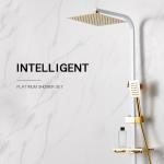 Cold Hot Water Rainfall Sanitary Ware Shower Bathroom Faucets Set for sale