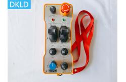 China 250 Meter High-Altitude Operation Equipment Handheld Dual Joystick Industrial Wireless Remote Control supplier