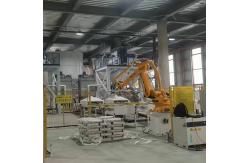 China Dual-line Dual-station Robotic Arm Palletizer Achieves Parallel And High-speed Palletizing supplier
