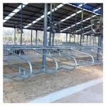 Single Side Ergonomic bending Cow Farming Equipment Cattle Free Stalls for sale