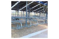 China Hot Galvanized Free Stall Barn ISO9001 Free Stall Loops supplier