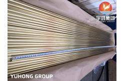 China ASTM B111 C44300 Seamless Admiralty Brass Tube For Heat Exchanger supplier