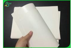 China Waterproof 190g 210g Cardboard Cup Paper Foodgrade For Paper Cup Raw Material supplier