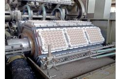 China Paper Pulp Semi-Automatic Egg Tray Machine With Dryer supplier