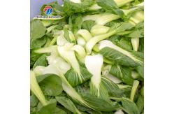 China X Fruit And Vegetable Processing Line 2025 With Advanced Technology supplier