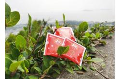 China Customizable Disposable White Sugar Packets 5g Each supplier