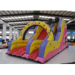 Mickey High Slide Commercial Inflatable Water Slides, Enviroment - Friendly