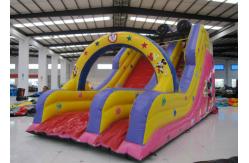 China Mickey High Slide Commercial Inflatable Water Slides, Enviroment - Friendly supplier
