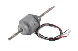 China VSM25B-24S 15 Degree Stepper Motor PM 25mm With Run through shaft supplier