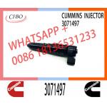 NTA855 fuel injector 3071497 3064457 3071494 3411821 3087648 3018835 for cum-mins for sale