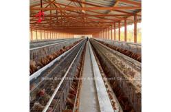 China Wire Mesh Automatic Battery Cage System In Nigeria Poultry Farm Mia supplier