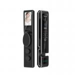 Face Recognition Video Intercom Door Lock Tuya Smart Glass Door Lock for sale