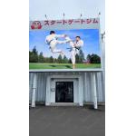 Outdoor Advertising Video Led Wall Led Module Screen  320*160mm for sale