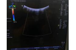 China GE 4C Convex Ultrasound Probe Repair Transducer Miantenance supplier