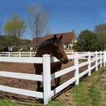 1.2m Welded Wire Mesh Fence 3 Rails Post And Rail White Pvc Horse Farm Fence for sale